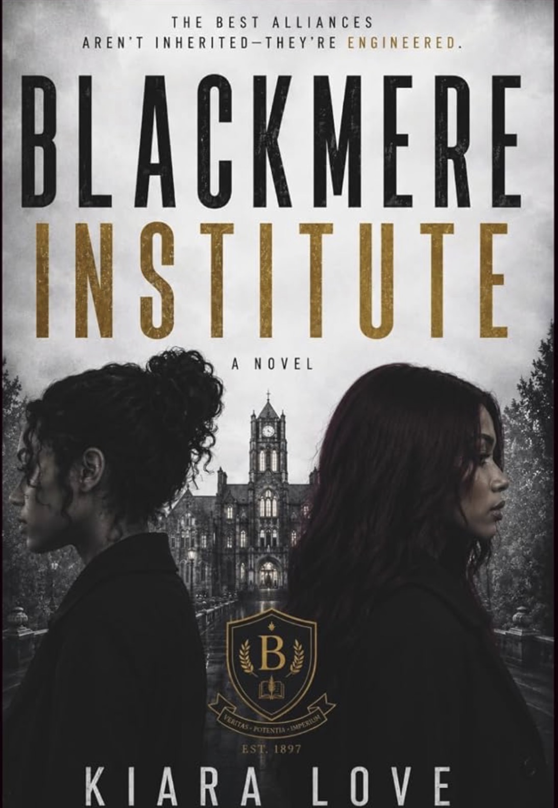 Cover of Blackmere Institute