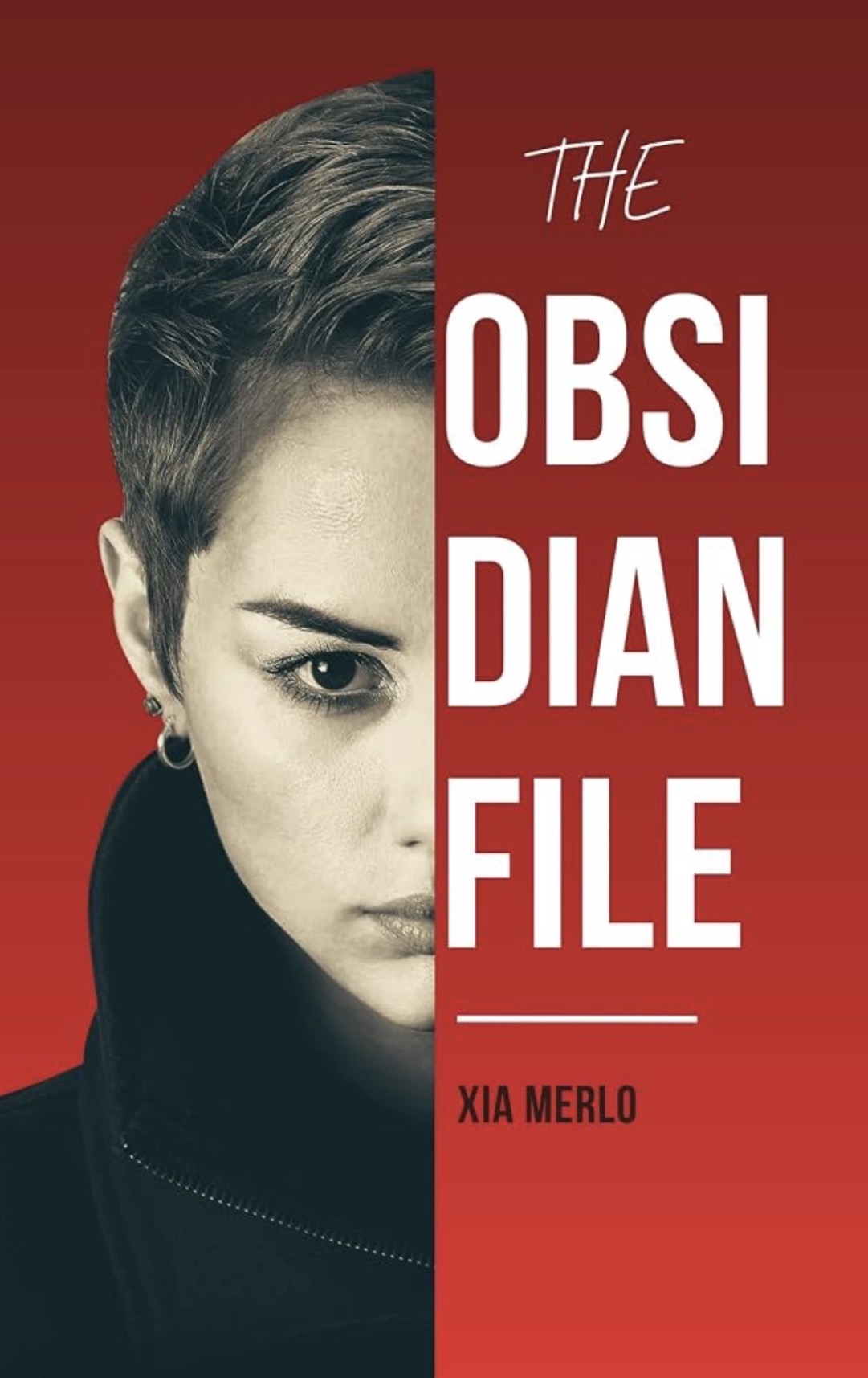 Cover of The Obsidian File